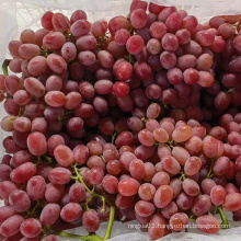 Chinese Xinjiang grape fresh grape new season fresh grapes specification